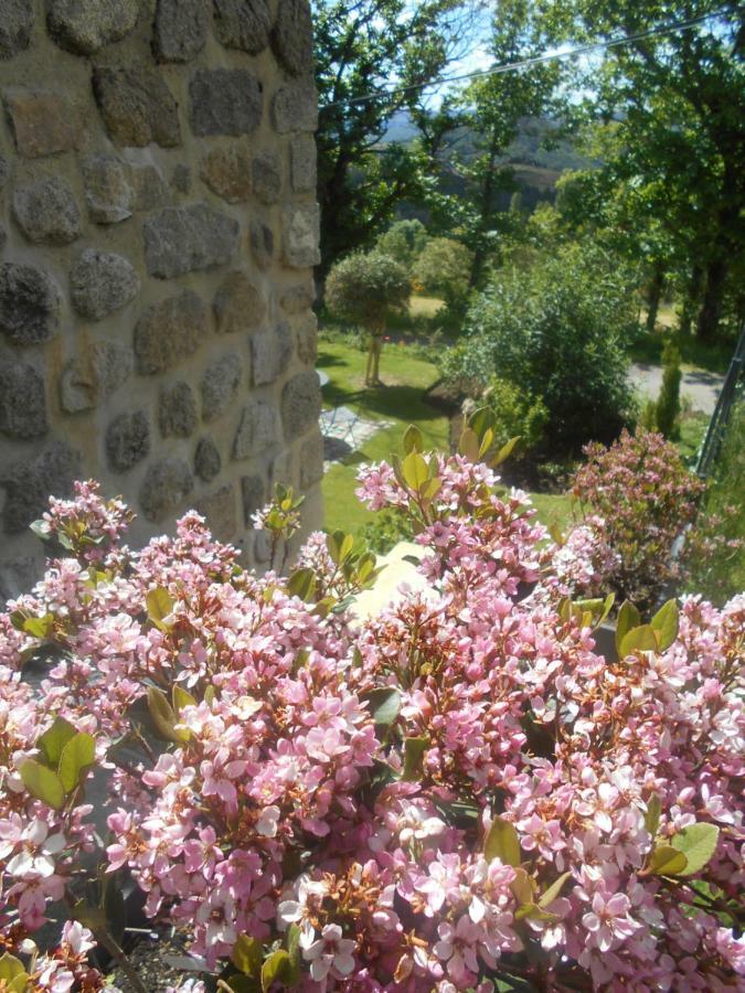 Maison D'Hotes Les Palmiers Gluiras 外观 照片